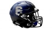 chandler wolves high school football helmet