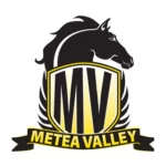 Metea Valley High School