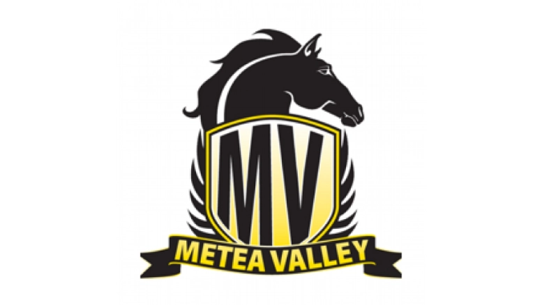 Metea Valley High School is looking for a head football coach for its high school football program.