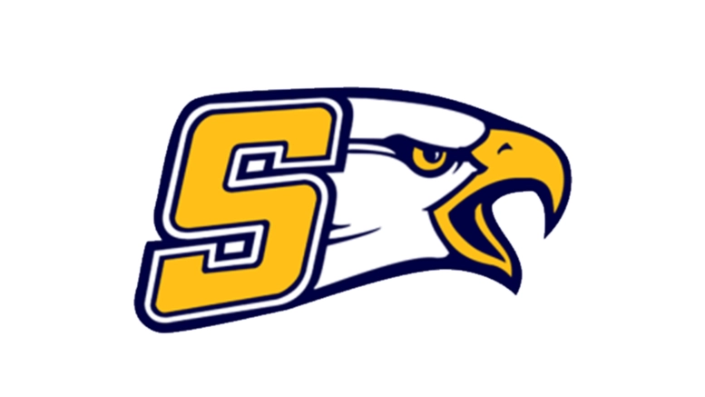 Seymour High School in Tennessee is looking for a head football coach for the 2025 high school football season.